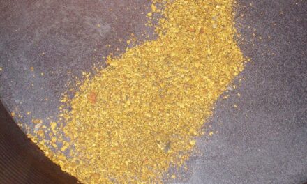 Des gisements d’or datant d’époques lointaines présents en Loire-Atlantique