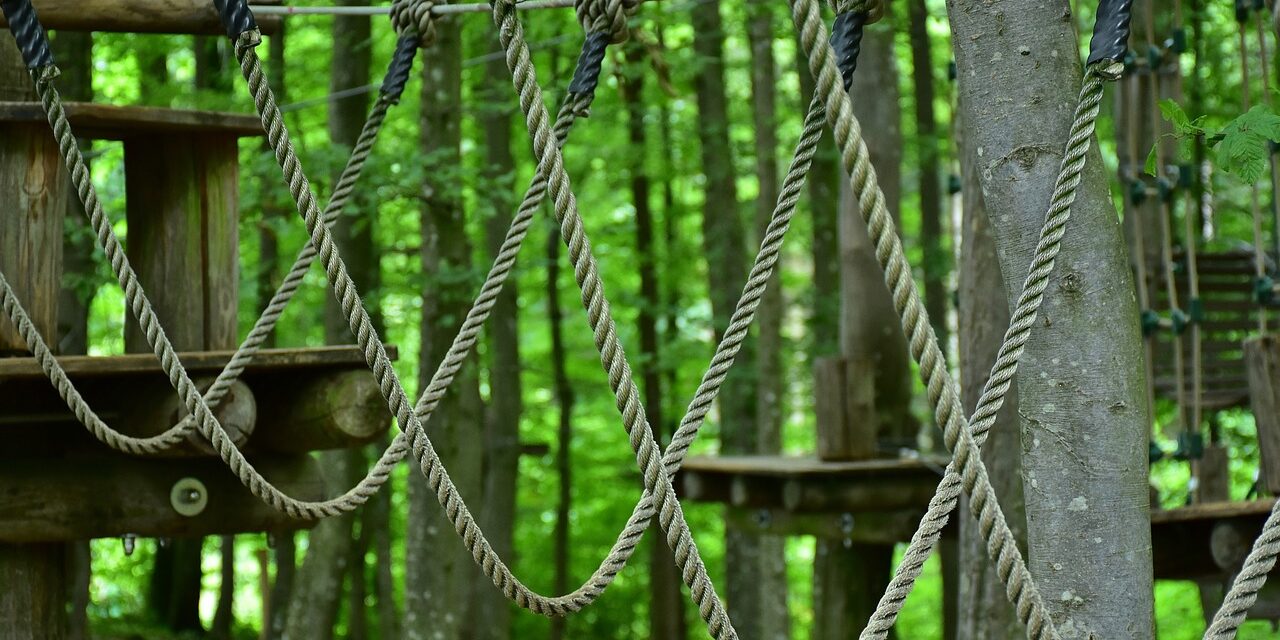 Île de Nantes : un accrobranche verra le jour à l’entrée du parc Crapa