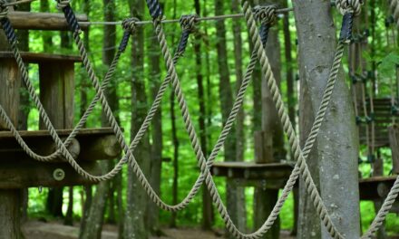 Île de Nantes : un accrobranche verra le jour à l’entrée du parc Crapa