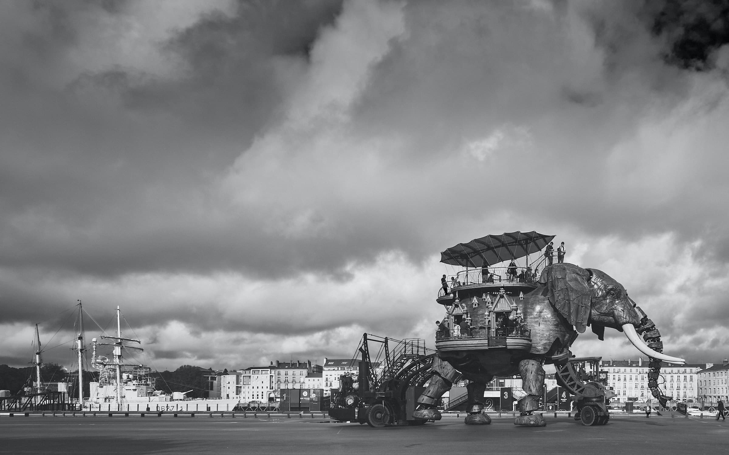 éléphant sur le parvis des nefs