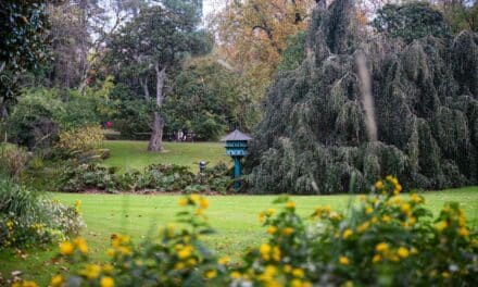 Des parcs ouverts la nuit en été à Nantes
