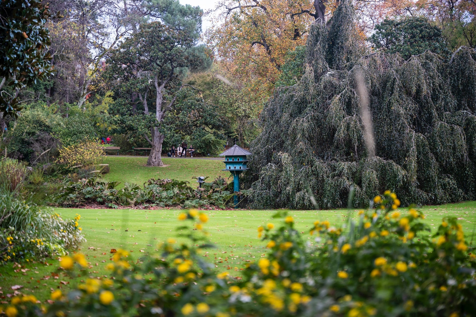 pelouse et arbres du jardin des plantes