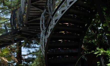 Les machines de l’îles : fin de l’arbre à héron, mais pas du héron