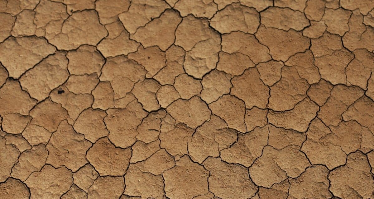 terre desséchée