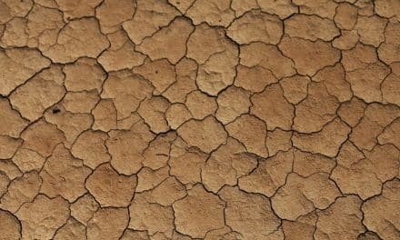 Sécheresse en 2022 : des communes reconnues en état de catastrophe naturelle