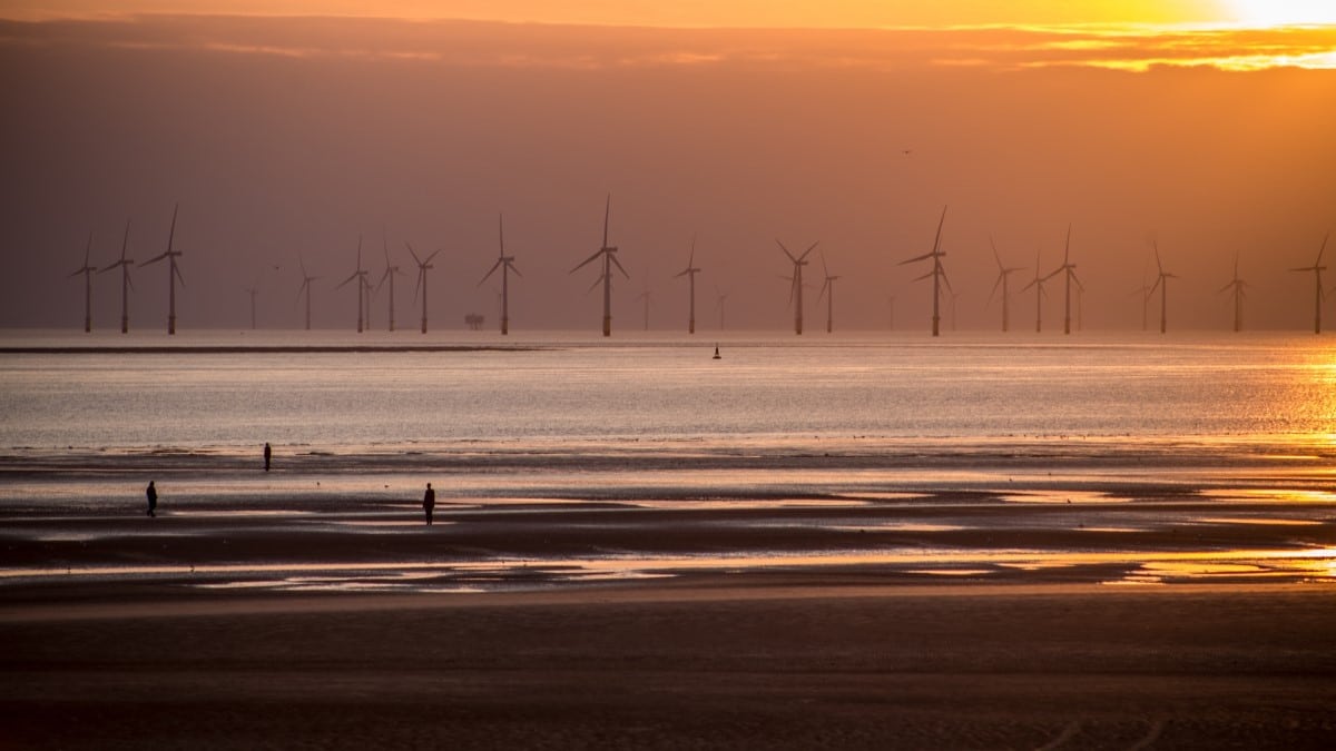 un parc d'éoliennes en mer devant la plage