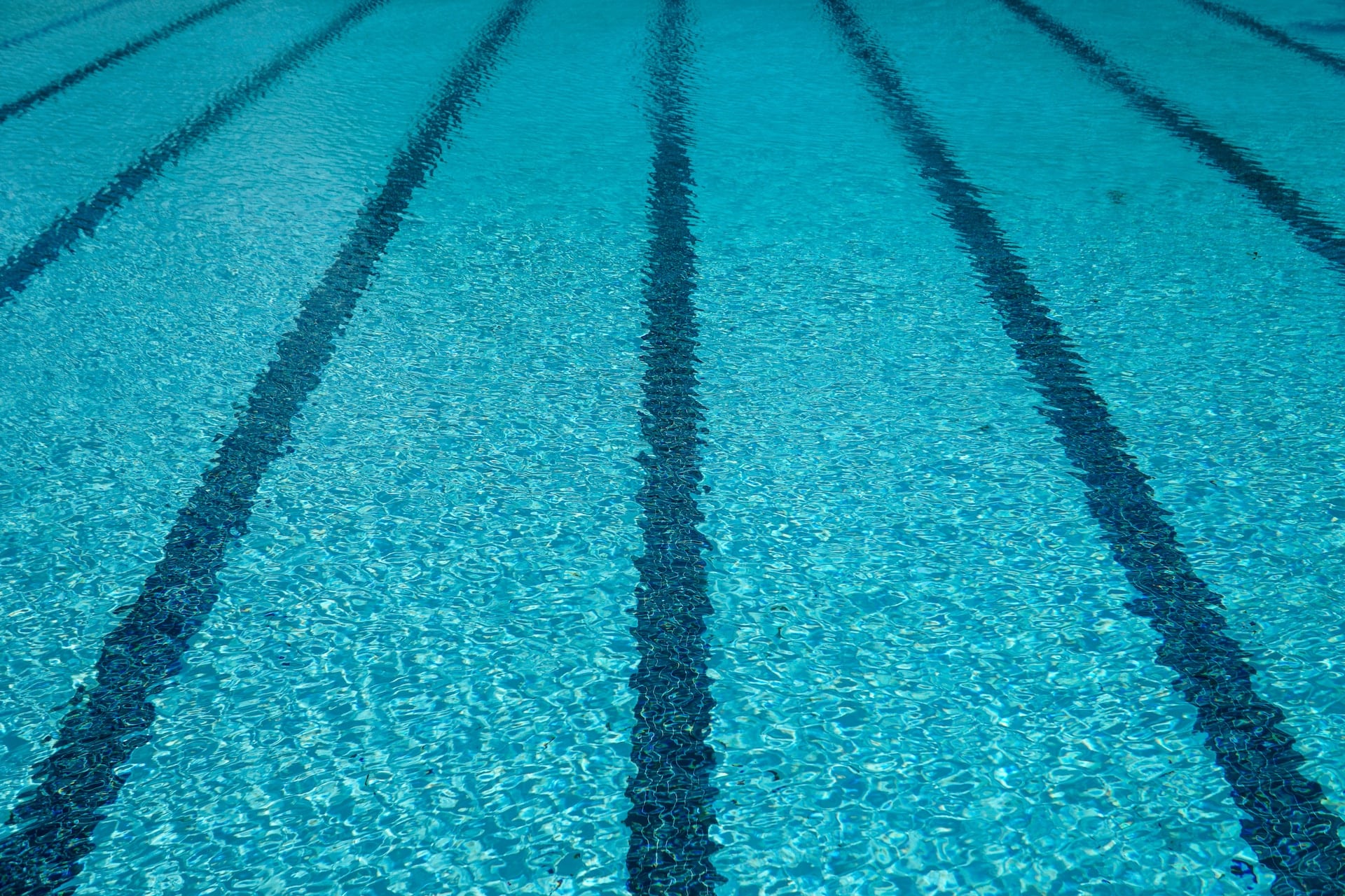 bassin d'un piscine olympique
