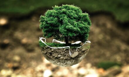 Nantes : un projet de pôle d’écologie urbaine