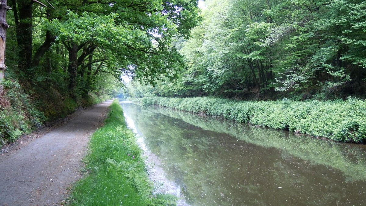 Chemin le long de la sèvre nantaise