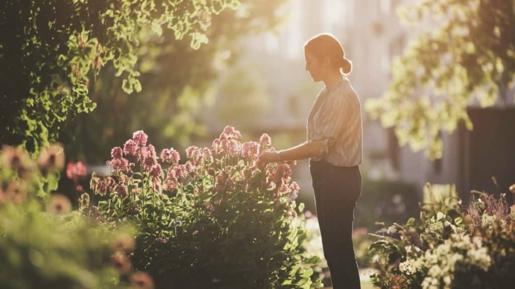 Femme contemplant des fleurs