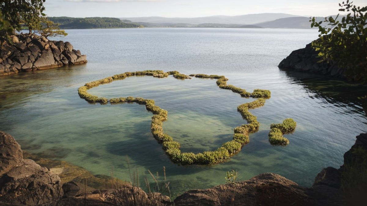 Île végétale en Afrique