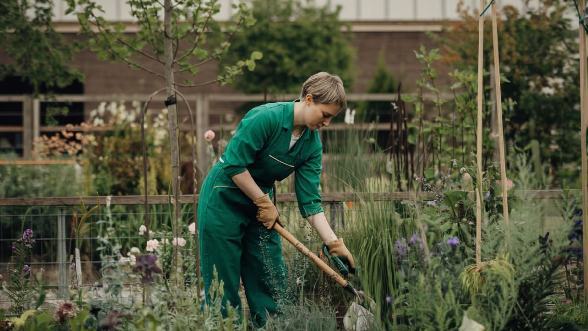 Jardinier travaillant dans un potager