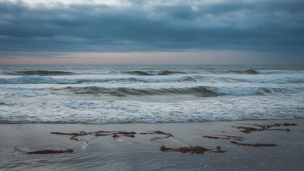 Vagues sous un ciel nuageux
