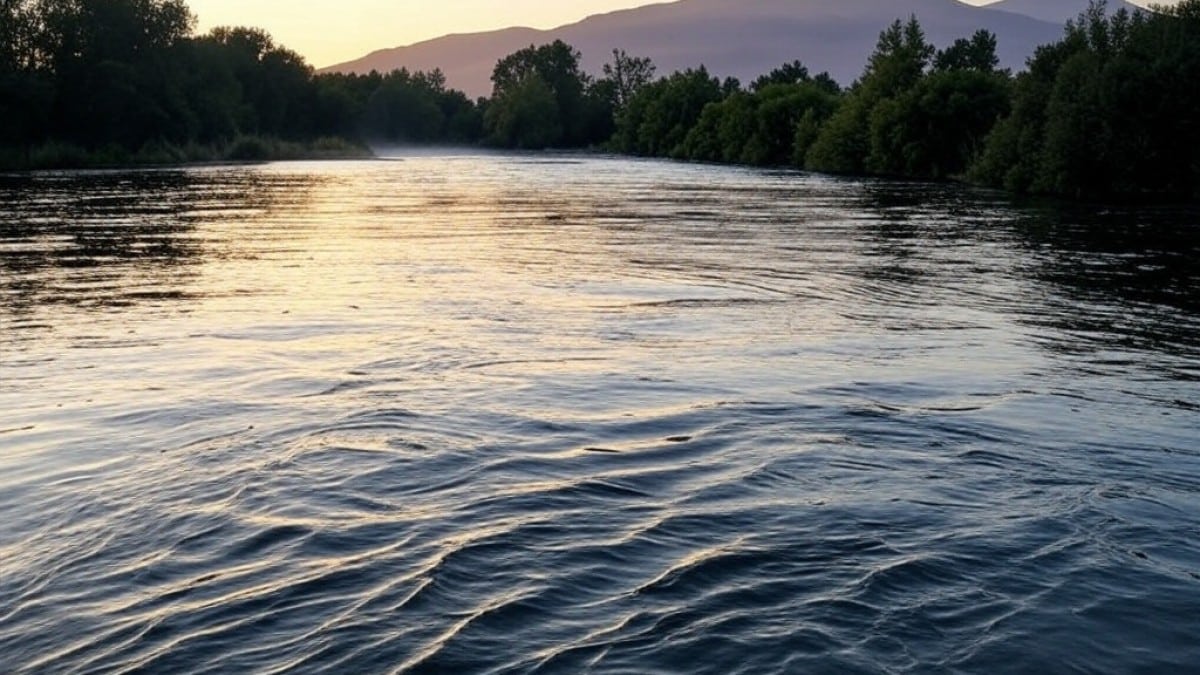 Rivière au crépuscule