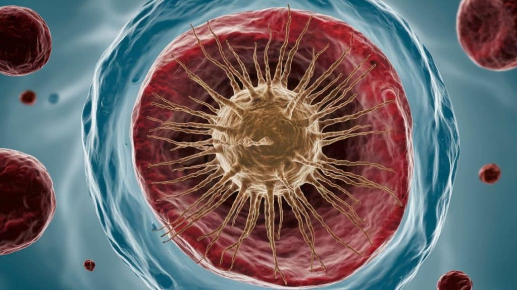 Cellule attaquée par virus